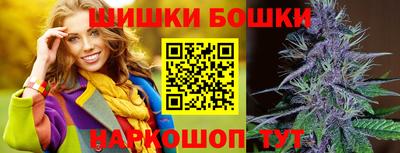 тгк Новозыбков