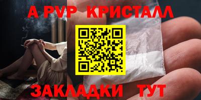 тгк Новозыбков
