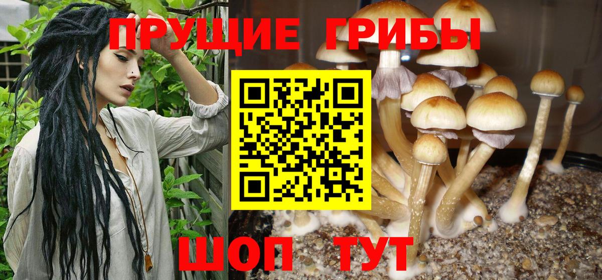 Хасавюрт  Галлюциногенные грибы Psilocybe  Псилоцибиновые грибы Magic Shrooms  как найти наркотики  Вход с VPN 